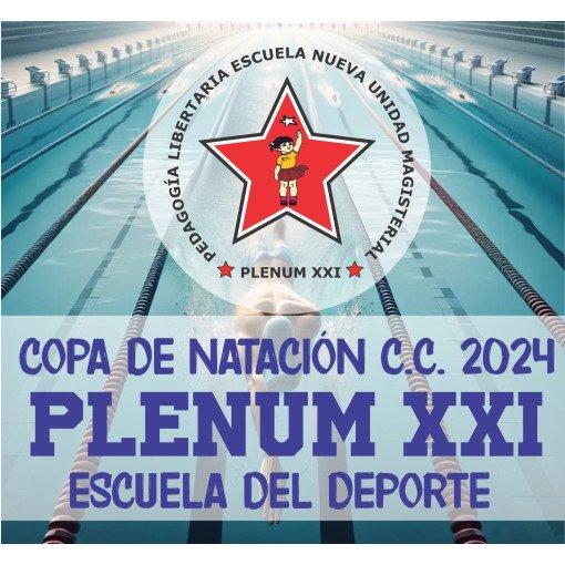 Logo de Copa Plenum XXI - Corregida 16 y 17 Noviembre