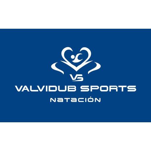 Logo de 9na Copa Master´s Valvidub 2024