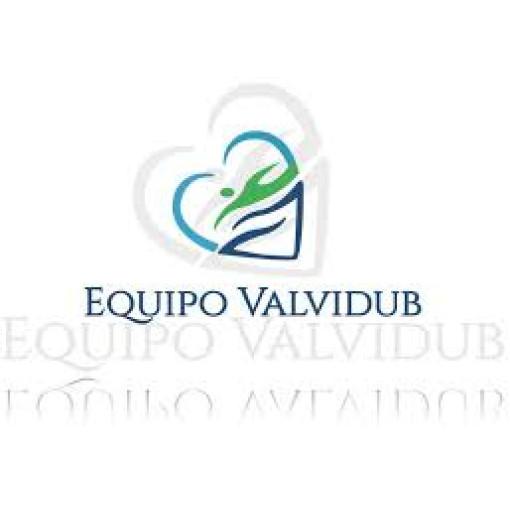 Logo de Copa Valvidub 2021
