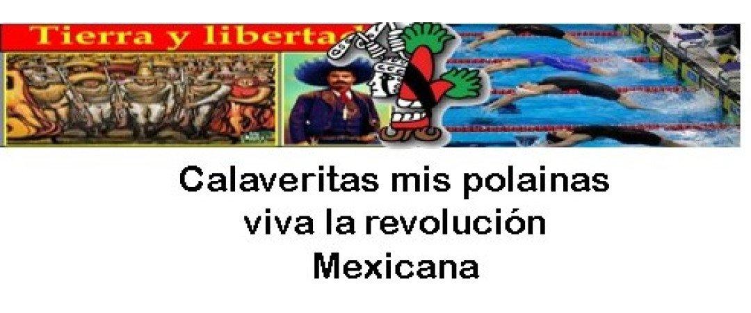 Logo de Copa Tierra Y Libertad 1910
