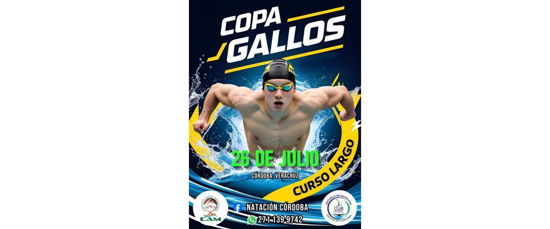 Logo de Copa Gallos