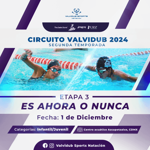 Logo de Etapa 3 "es Ahora O Nunca" Circuito Valvidub T2 2024