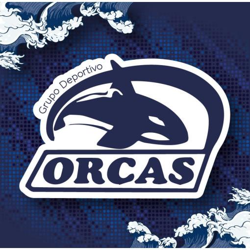 Logo de 3er Festival Acuatico Del Adulto Mayor