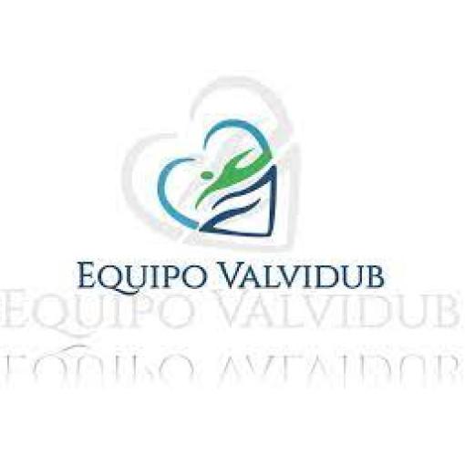 Logo de Copa Master´s Valvidub 2021