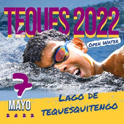 Logo de Teques 2022