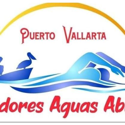 Logo de Clínica de Aguas Abiertas Team Kohlmann 2021