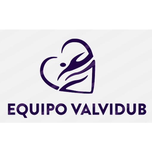 Logo de Circuito Valvidub Primera Temporada 2022