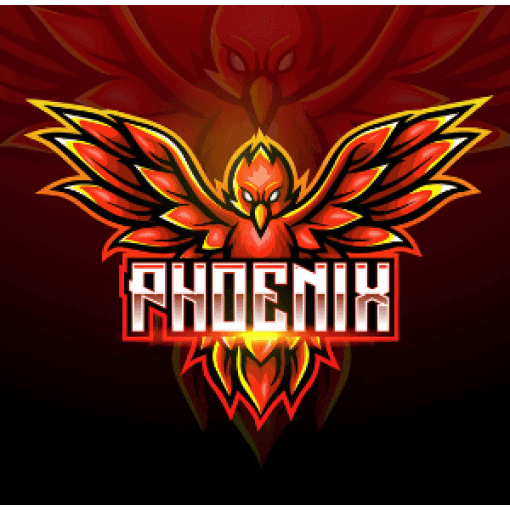 Logo de Maratón Nocturno - Phoenix Sport