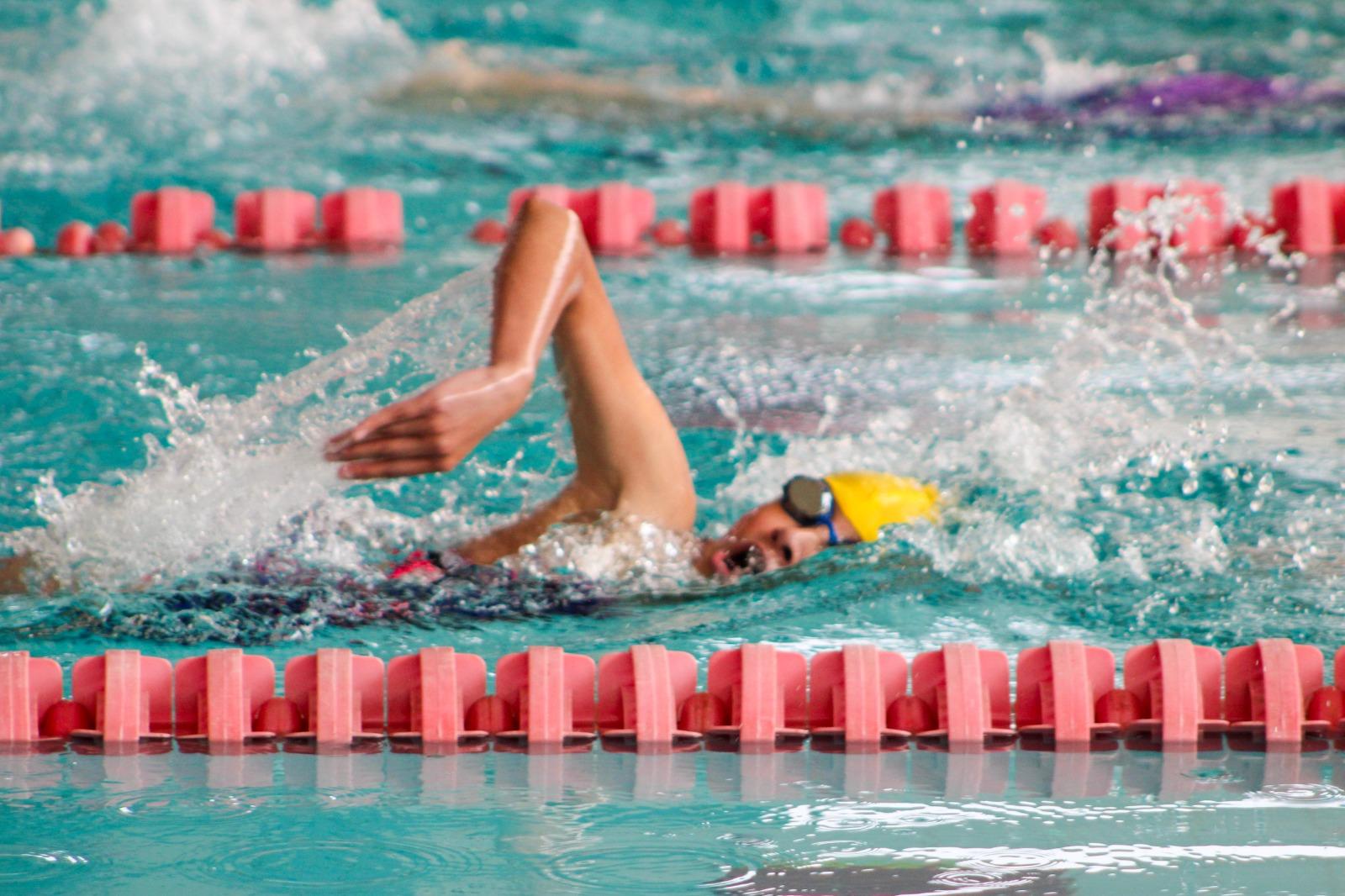 Logo de Primer Torneo Clasificatorio Élite y Platino