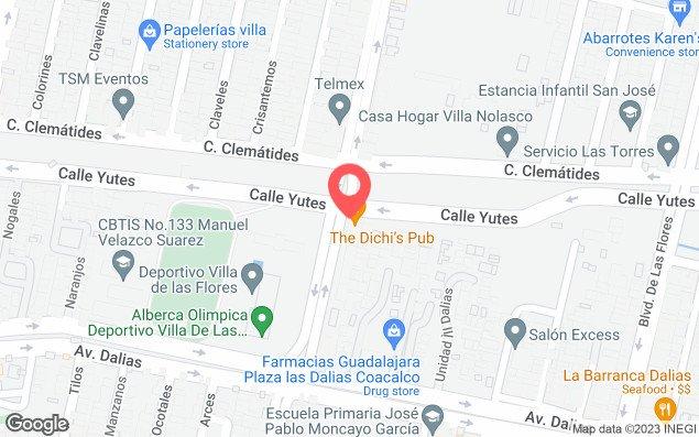 Mapa de ubicación - Alberca Deportivo Villa de las Flores