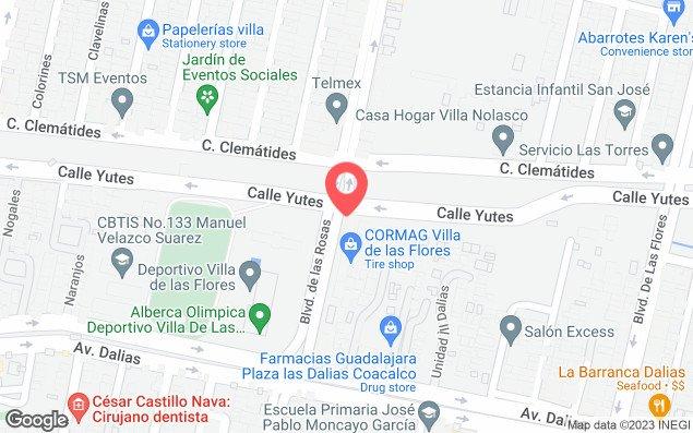 Mapa de ubicación - Alberca Deportivo Villa De Las Flores